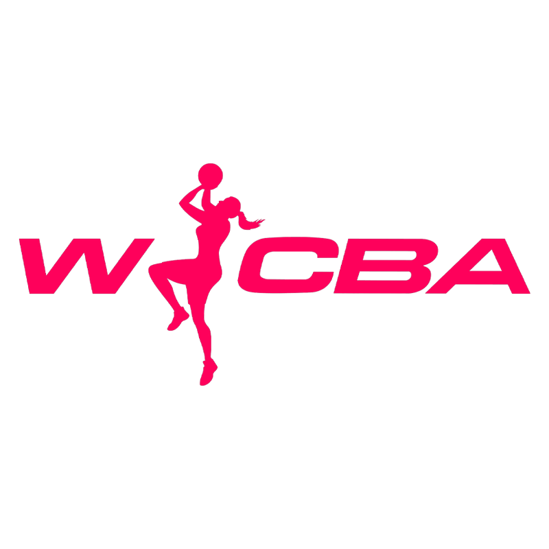 WCBA 山东赤水河酒vs石家庄英励20241225