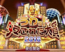 整人大赏 2018年末SP 3个半小时